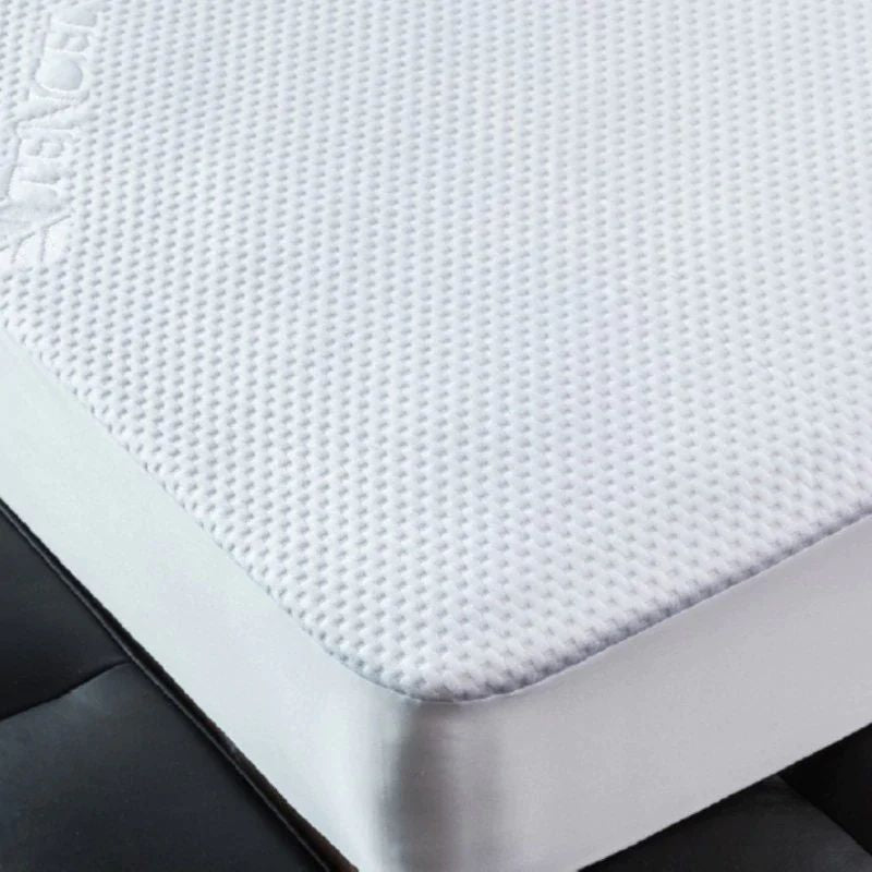 UltraFlex INFINITY PLUS Orthopedic Spinal Care, Premium Soy Foam, Eco-friendly Mattress with Waterproof Mattress Protector (Made in Canada)
